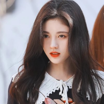 疯狂的狮王
